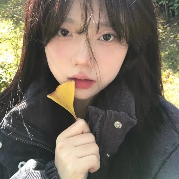 向日葵女孩 封面